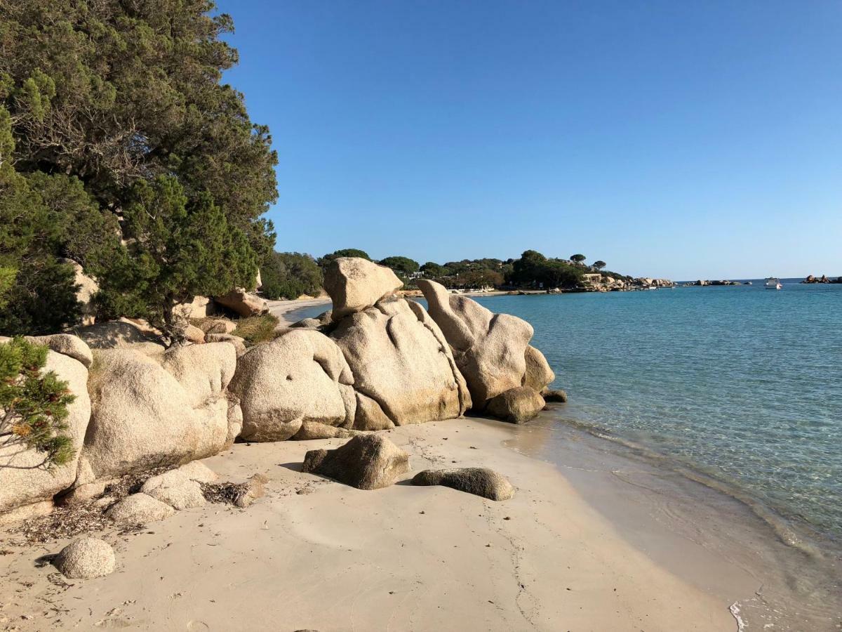Villa Orethaga Piscine 10 Pers Porto Vecchio Εξωτερικό φωτογραφία