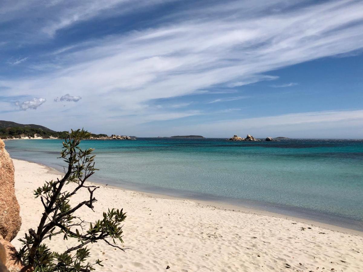 Villa Orethaga Piscine 10 Pers Porto Vecchio Εξωτερικό φωτογραφία
